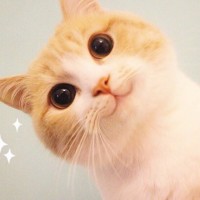 林心如霍建华假结婚案胜诉后,霍建华首度露面