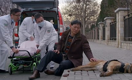 《神犬小七》十大催泪瞬间