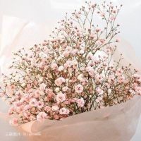 可爱小姐姐身穿长筒靴,跳热舞!舞姿妙曼,身材完