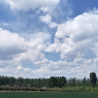 宋智孝吐槽陈赫变胖子赫,金钟国心直口快:你又