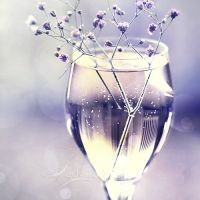 四平青年:阿厦和老婆台上表演,网友:啷个