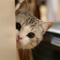 《不期而爱》黄明明!明宝你也太能撩了,这妈妈