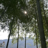 农村四哥:王四他们没在家,幺妈叫奶奶过来吃饭