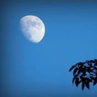 沈梦辰推超大行李箱,里面竟伸出一只手给她擦