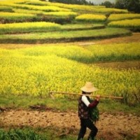 欧阳娜娜爆出结婚年龄是25岁结婚生子,网友:我