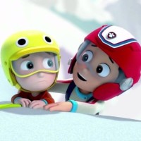 何炅0428生日快乐!白敬亭鬼鬼等群星齐送生日