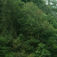 毒纪上单诺手打提莫这局好好帮对面戒除网瘾,