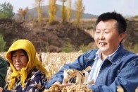 杨幂这组男人装太撩人了,这身材甩柳岩几条街