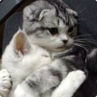 徐峥演的电影总是那么搞笑