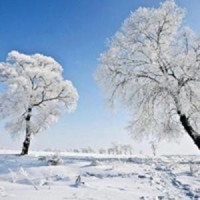 杨紫的择偶标准其实是按彭于晏找的吧,网友:期