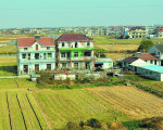岿ί仧Աгתլ