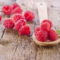 来自机器人的圣诞节歌曲,这嗓音,也太好听了