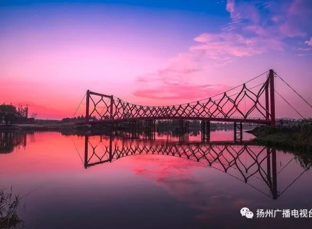 女子泰国游后半手臂红肿 湿热天气小心毒虫叮咬