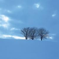 宋丹丹直言演小品没剧本,都是坐一起商量的,生