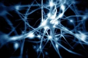 人类体内首次发现微塑料 这组照片值得我们反思