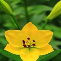 早上好库存走一个