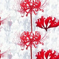 苹果XsMax黑解教程!黑解后会很靠谱吗?