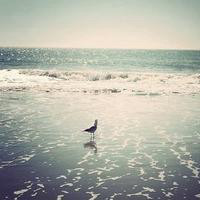 如何制作烟花加特林