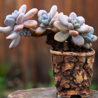 如何让旧衣服变新衣服,让你分分钟成为时尚达