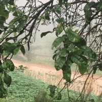 农村四哥的个人频道 - 专辑列表