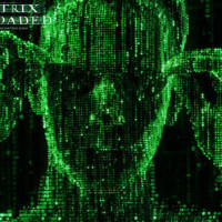 独家视角看电影