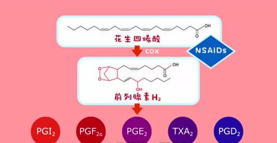 选择性 COX-2 抑制剂的诞生和认识历程