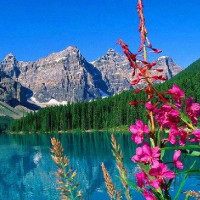 经典女版康纳步,你绝对没有见过