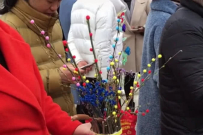 �׶�԰������ҵ���ֹ��廨������������ѣ��ǲ軨�����ǲ�֦��