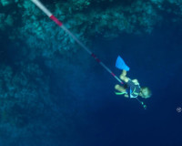 组图:壕!温州一中学给学生发800万奖学金