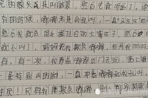 Сѧ����Ц���ġ��ҵ�С���ཡ�����ס���Ĵ�����ӣ���ʦЦ����