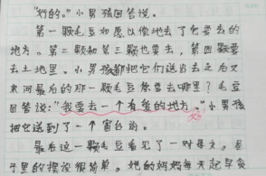 Сѧ���ġ�ë�����ռǡ����Ƕ������£���ʦ�ޱ��������Ů������