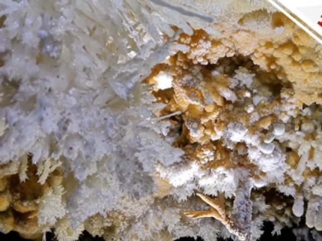 贵州发现世界级石花溶洞,美得令人惊叹!