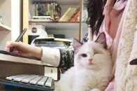 国外街头整人恶搞小视频 专治不开心!