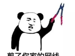发个表情包:剪了你家网线,断了你的王者梦