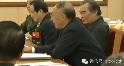 为什么黄奇帆和李鸿忠等在全会分组讨论上发言