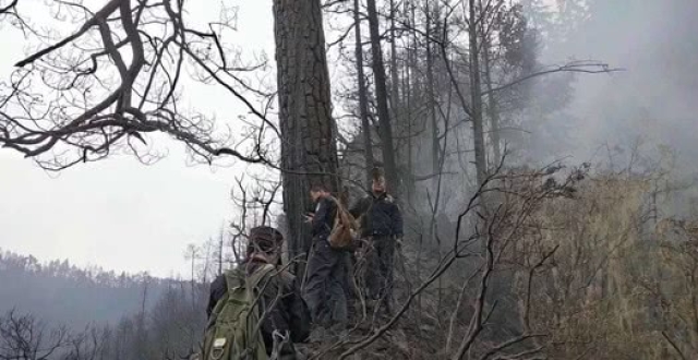四川木里森林火灾确认为雷击火 着火点为一棵云南松