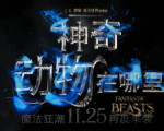 来听资深哈迷解读《神奇动物》，电影中都有哪些隐藏彩蛋？