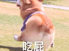 无水印斗图表情包:吃我一个屁,噗