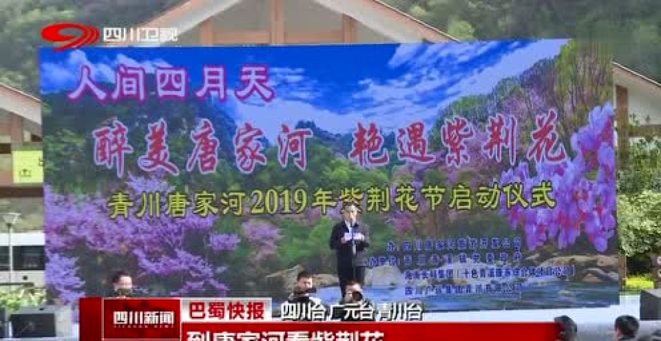 青川唐家河2019年紫荆花节启动