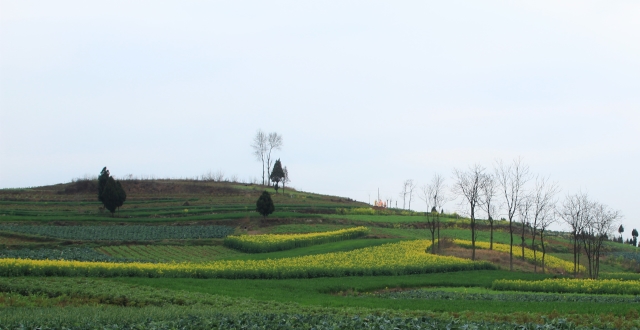 大美汉中,原生态洋县小山村廻龙村的春天景色