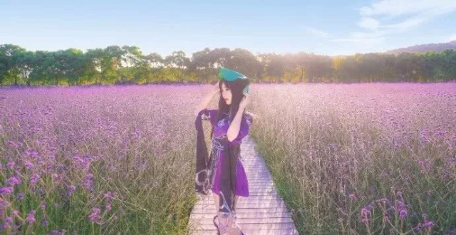 剑网三秦风花萝cos,徜徉花海之中的少女,甜美灵秀很美好!