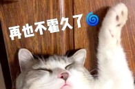 表情包 图先欠着