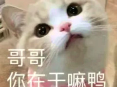 女孩子决不能缺的表情包!撩人指数sss,躺着都能脱单!