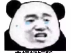 斗图能赢的人都是大哥!看到这些行走表情包,网友:真是个秀儿!
