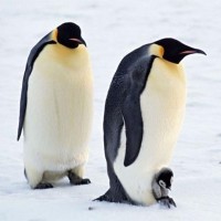 继《败类》之后凌飞和俊逸又一神曲