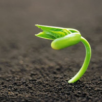 《功夫瑜伽》主题曲,美丽的神话,成龙献唱