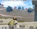ƽӢ㻹98kM24洦ɼ˭