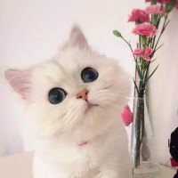 广场舞《火火火起来》舞曲欢快动感,舞步简单