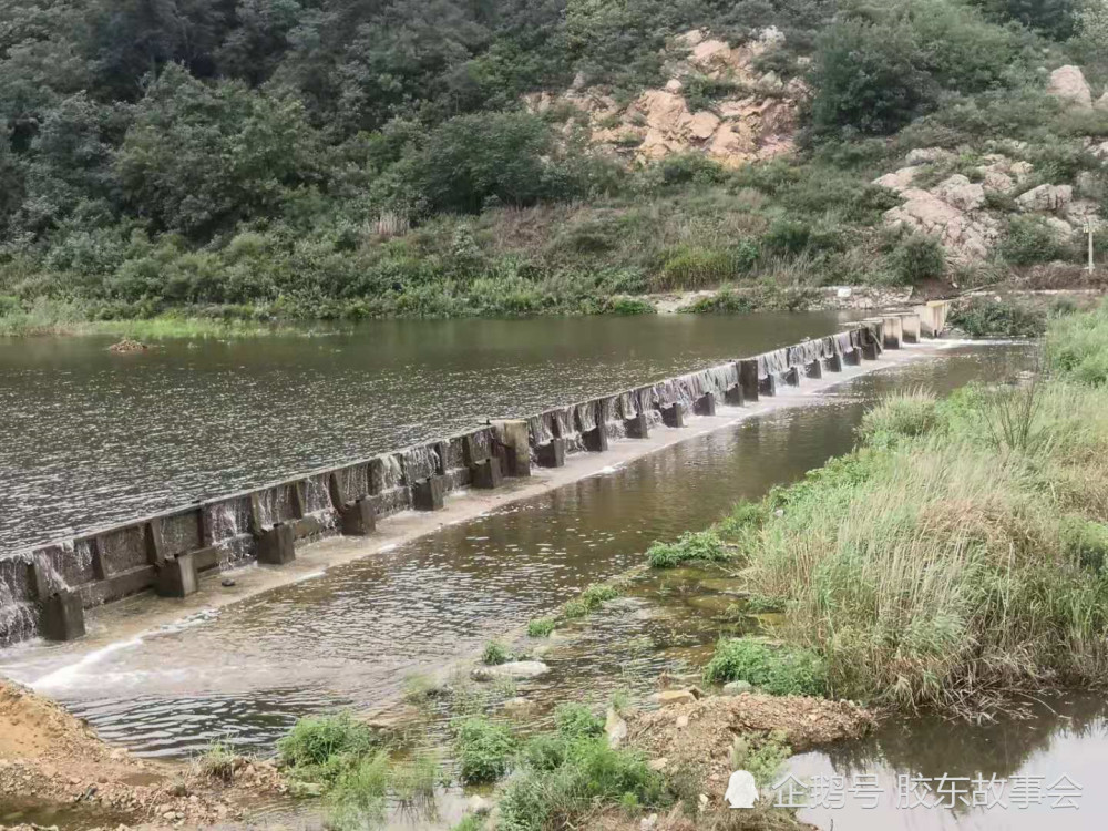 水位已经高出拦河坝,往下游溢.