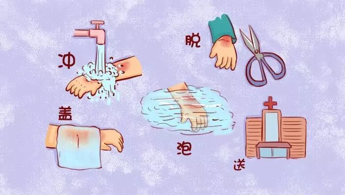 秦海璐,烫伤,烧伤,大酱